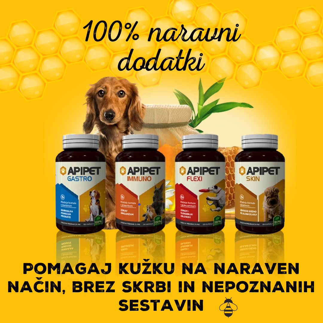 Propolis za pse