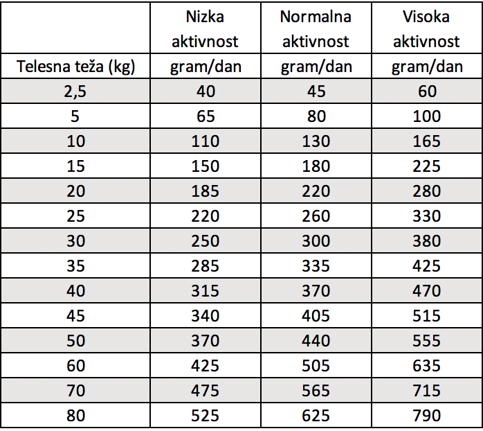 Dnevni vnos hrane za psa