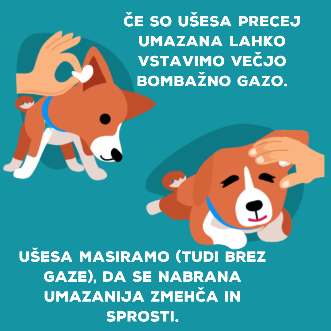 Čiščenje ušes pes