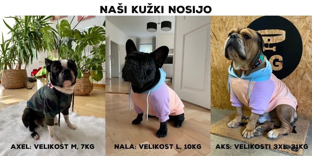 Velikosti naših kužkov